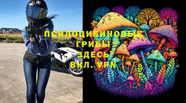 spice Балахна