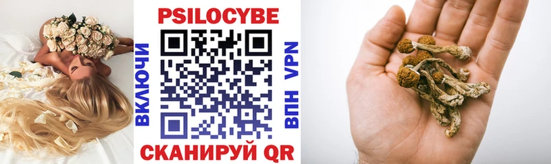 Псилоцибиновые грибы Psilocybe  как найти закладки  kraken маркетплейс  Верхотурье 